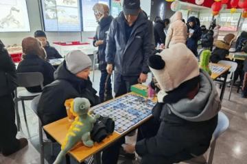 伊春市嘉荫县神州恐龙博物馆“赛龙棋”比赛收官