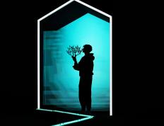 巴黎网球大师赛：辛納(nà)夺冠