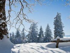 中国电竞战队夺得世界冠军