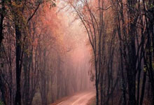 斯诺克苏格兰公开赛：常冰玉战胜马克·艾伦挺进决赛