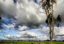 2025年第(dì)31届亚洲棒球(qiú)锦标赛落幕(mù) 中国队获第(dì)四