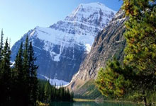 2025年第(dì)31届亚洲棒球(qiú)锦标赛落幕(mù) 中国队获第(dì)四