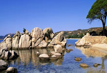 WTA最新一期世界排名 郑钦文跌出前10