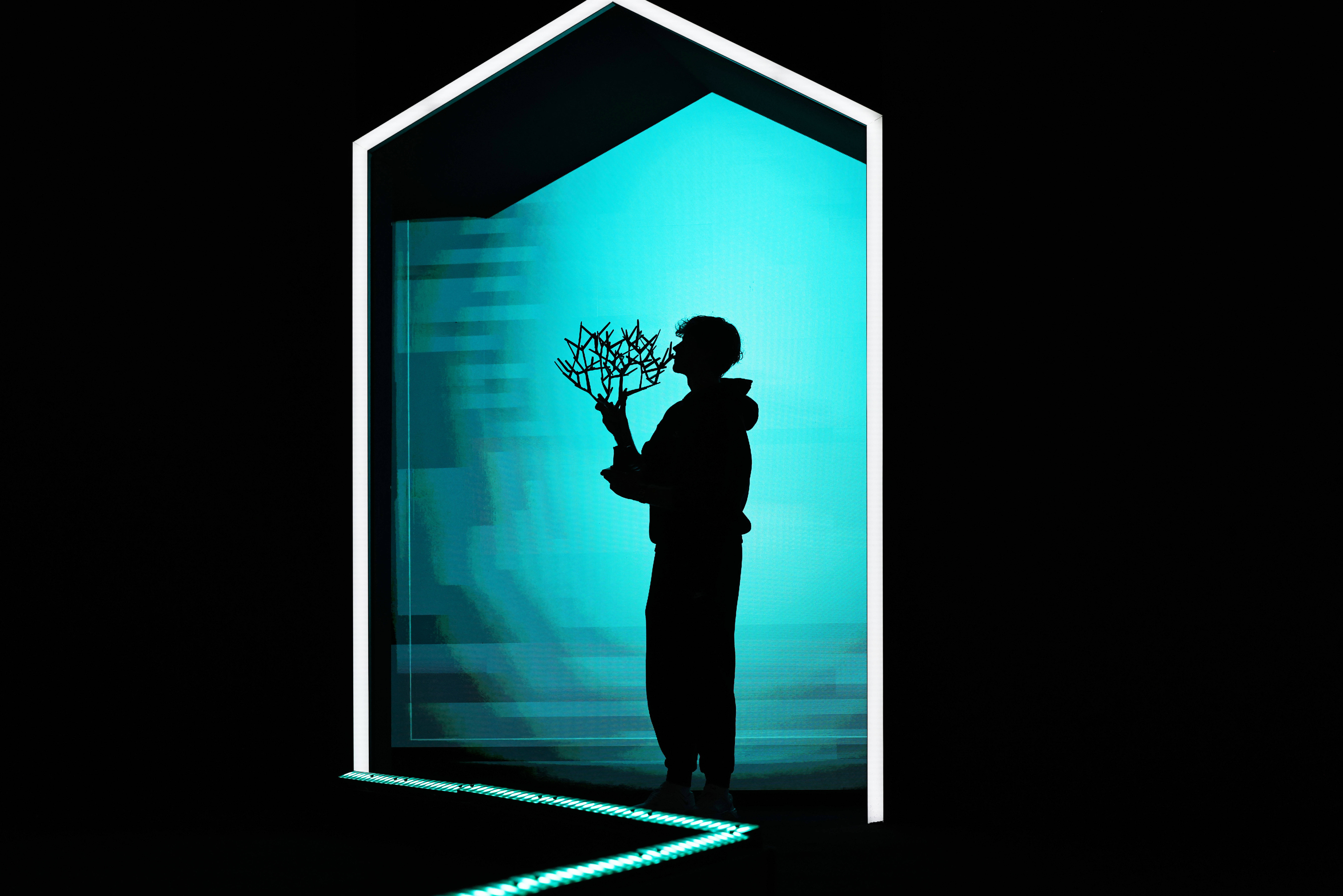 巴黎网球大师赛：辛納(nà)夺冠