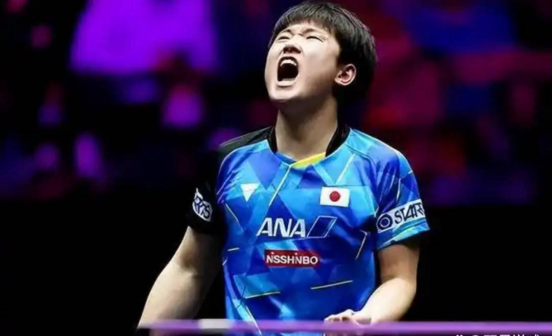 张本智和的比赛风格引起争议