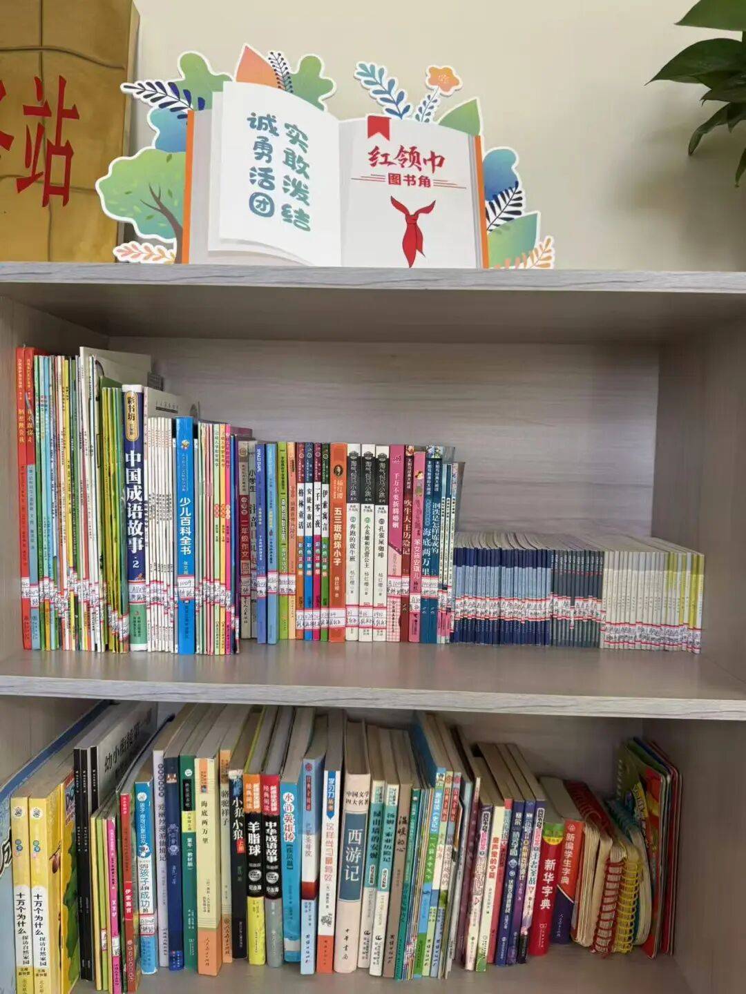 星火“卫”来 | 团市委、市少工委开展点亮社区少先队图书角活动